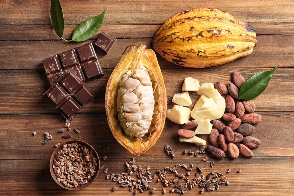 Healing Powers of Cocoa by Wellness Bakeries, LLC