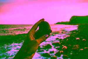 Magnifying and Maximizing Gratitude, Article by Ashwita Goel, Reiki Master