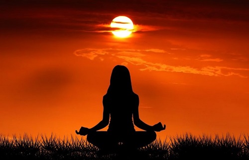 Learning To Meditate