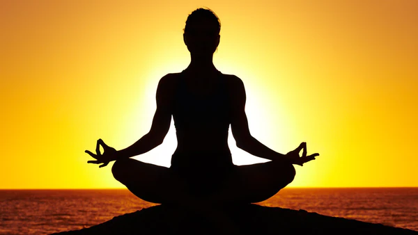 Yoga & Fitness Wellness Equipment